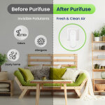 PuriFuse image